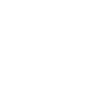 לוגו שיטרית 2